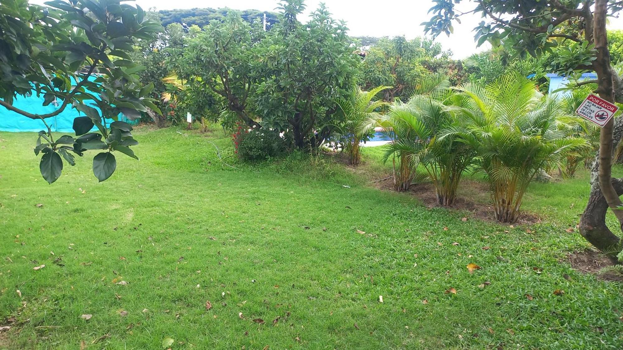 Las Orquideas Rozo Exterior foto